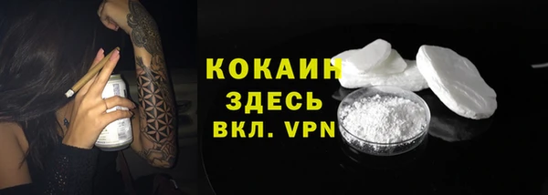 Альфа ПВП Дмитриев