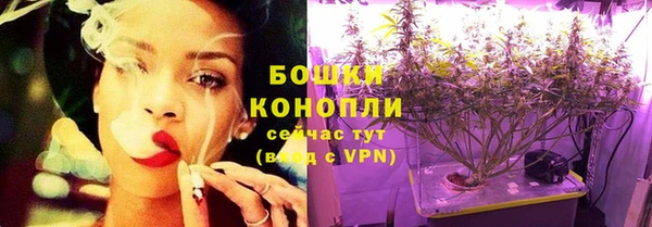 ГАЛЛЮЦИНОГЕННЫЕ ГРИБЫ Медвежьегорск