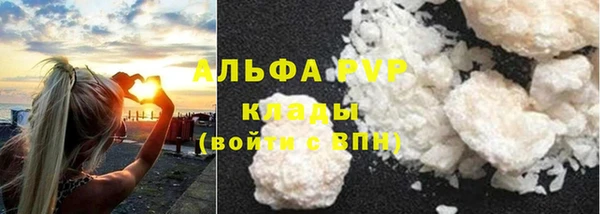 ECSTASY Дмитровск