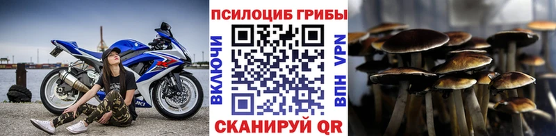 купить  цена  Нурлат  Галлюциногенные грибы прущие грибы 